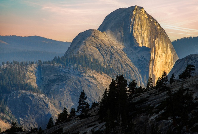 Market Update: Importance of Safety Assets